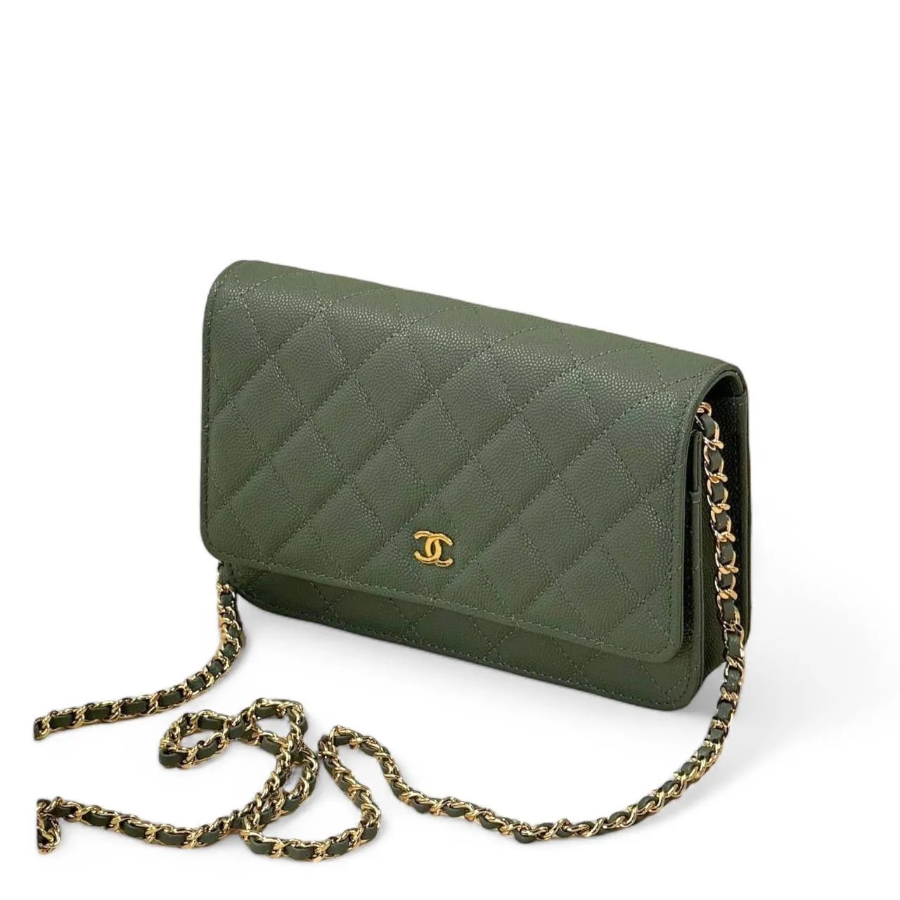 Сумка CHANEL (19 см)