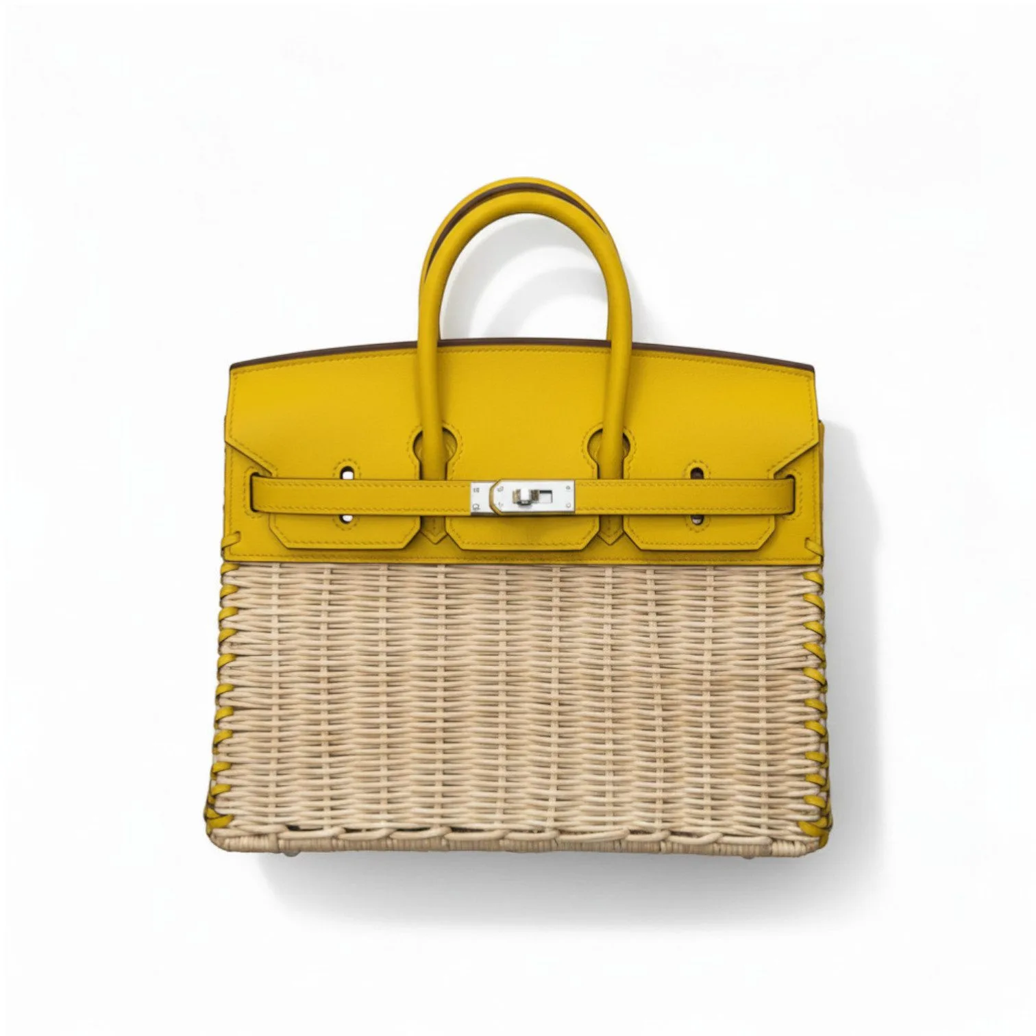 Сумка HERMES Birkin Picnic (25 cм)