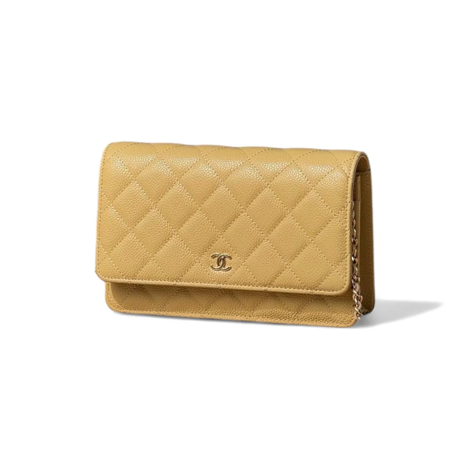 Сумка CHANEL (19 см)