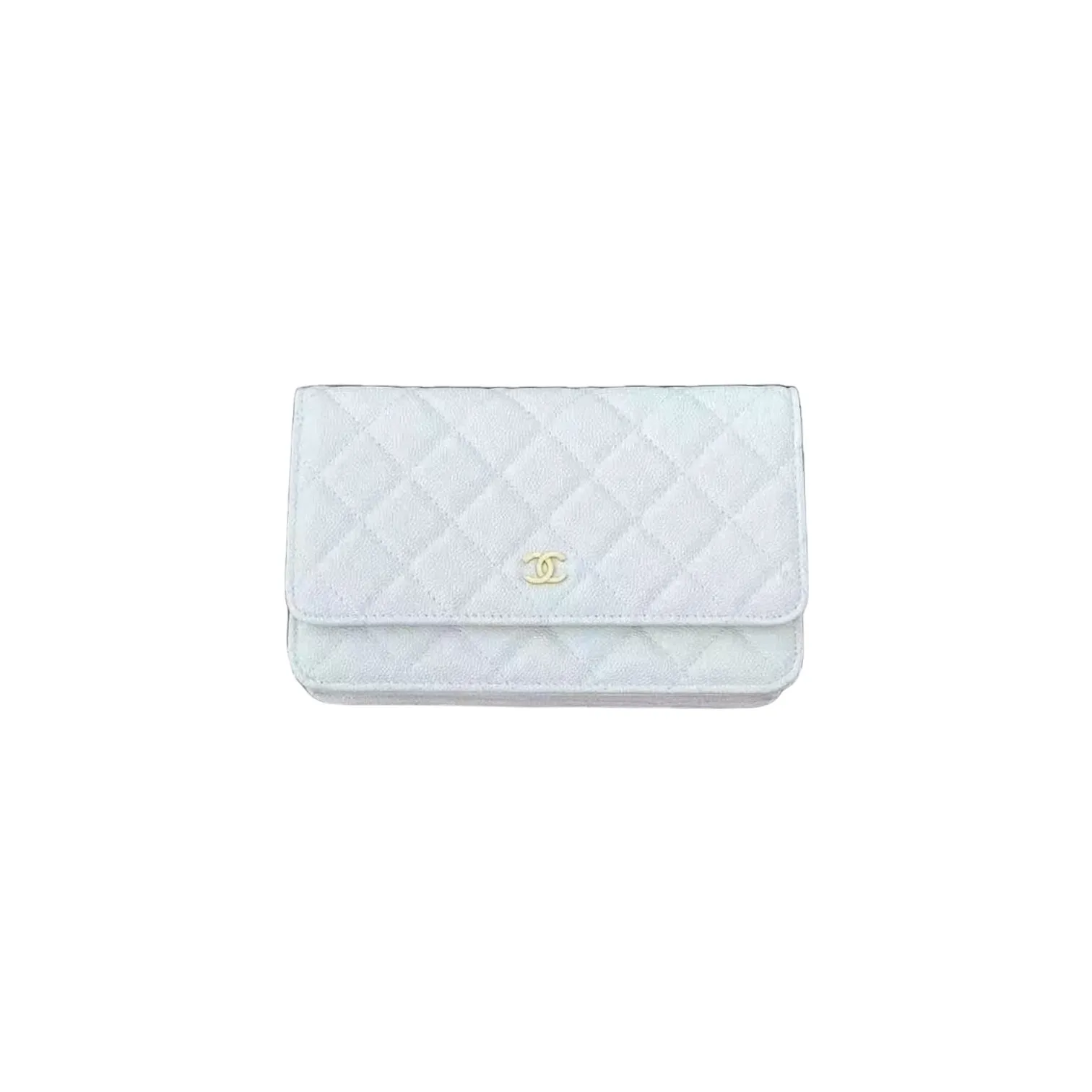 Сумка CHANEL (19 см)
