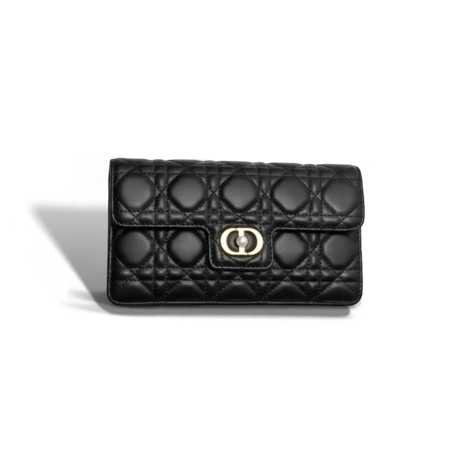 Клатч DIOR Jolie (20 см)