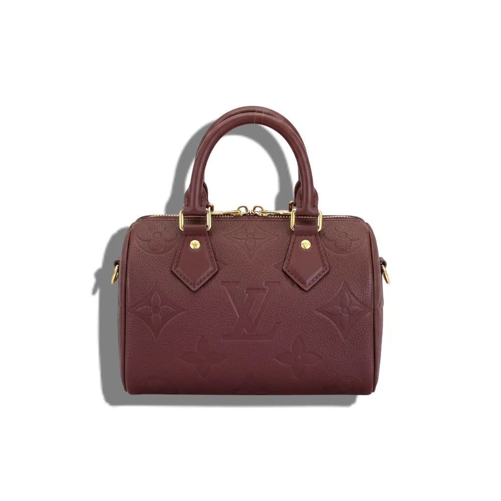 Сумка LOUIS VUITTON Speedy (20 см)