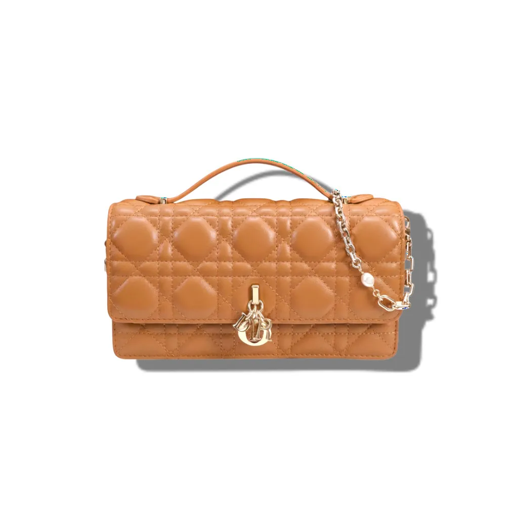 Сумочка DIOR My Mini (22 см)