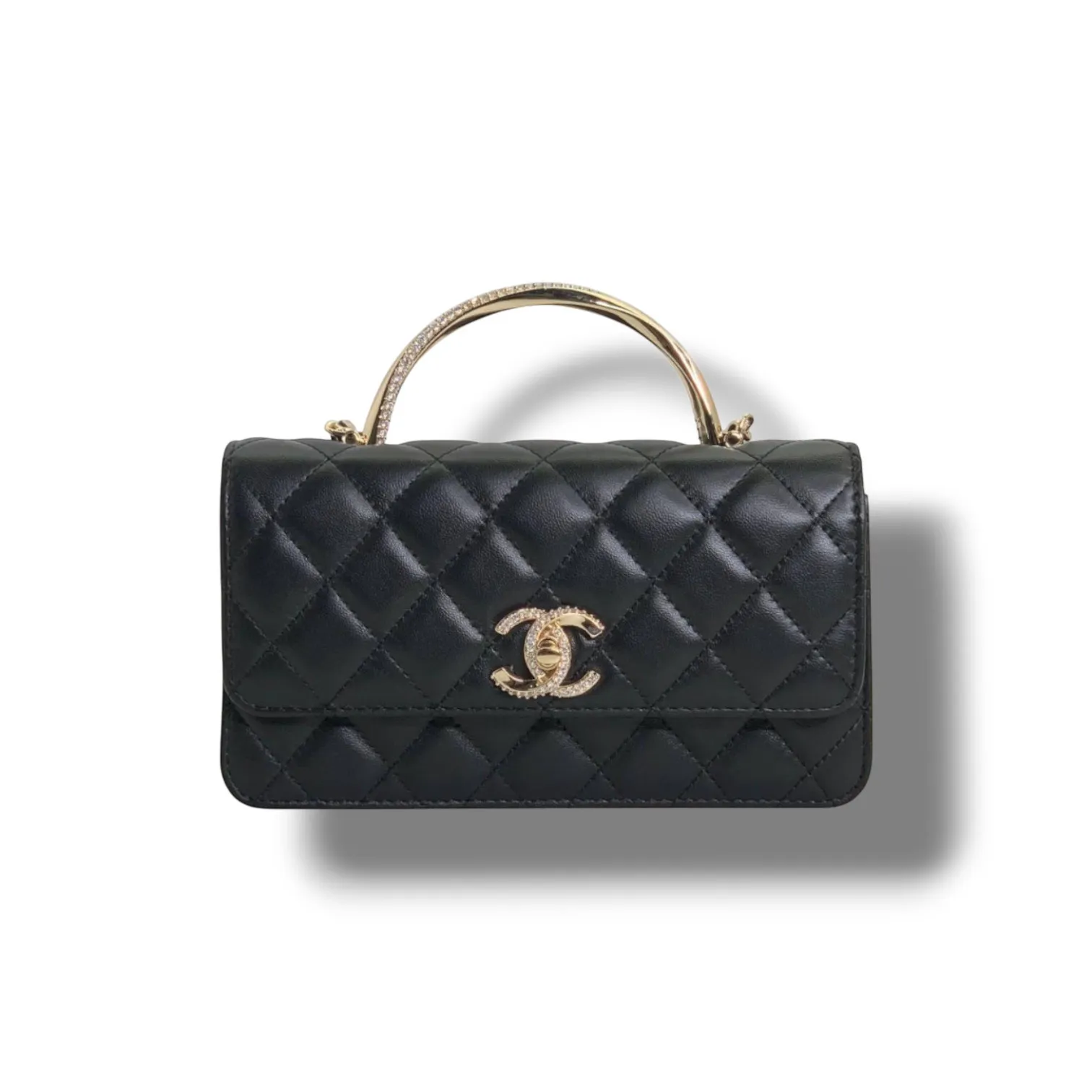 Сумка CHANEL Flap (22 см)