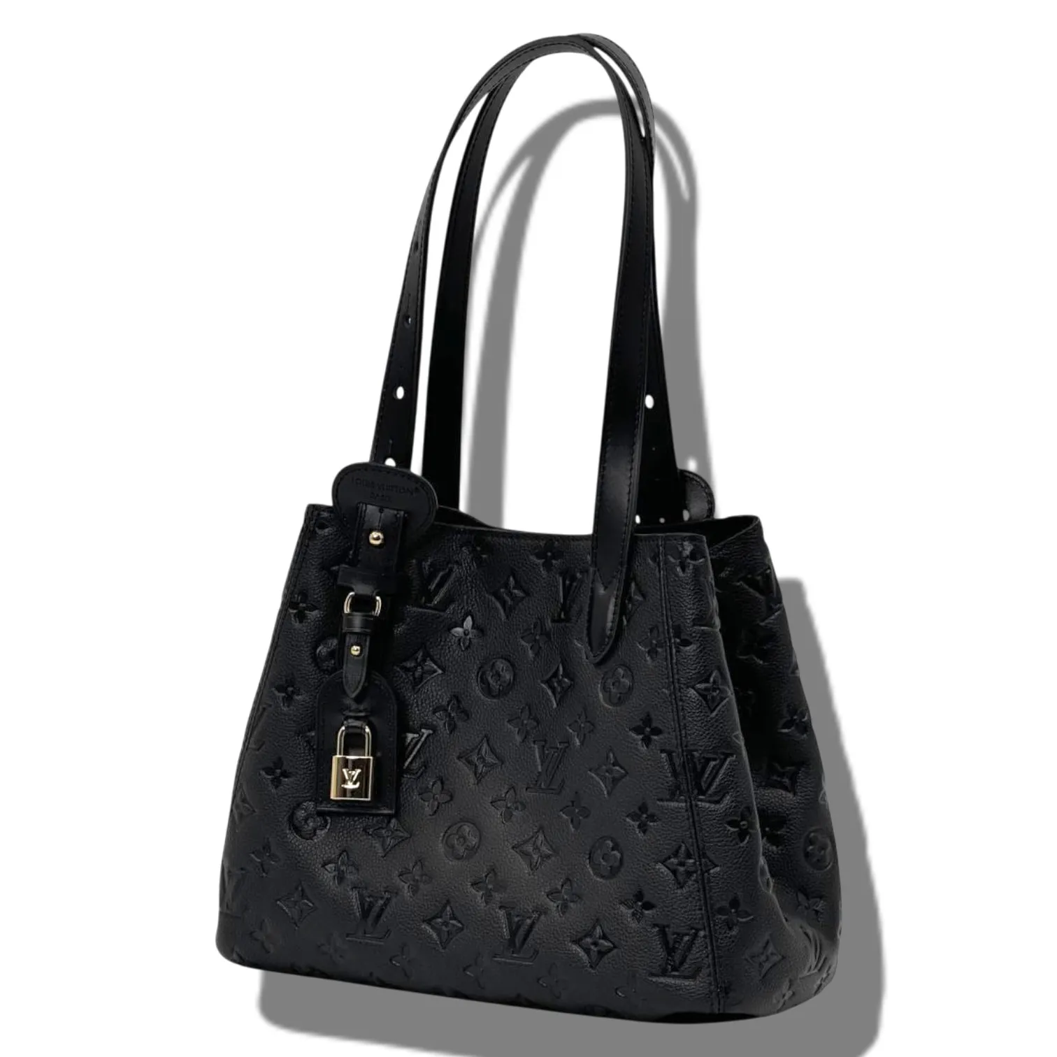 Сумка LOUIS VUITTON All In One PM (29 см)