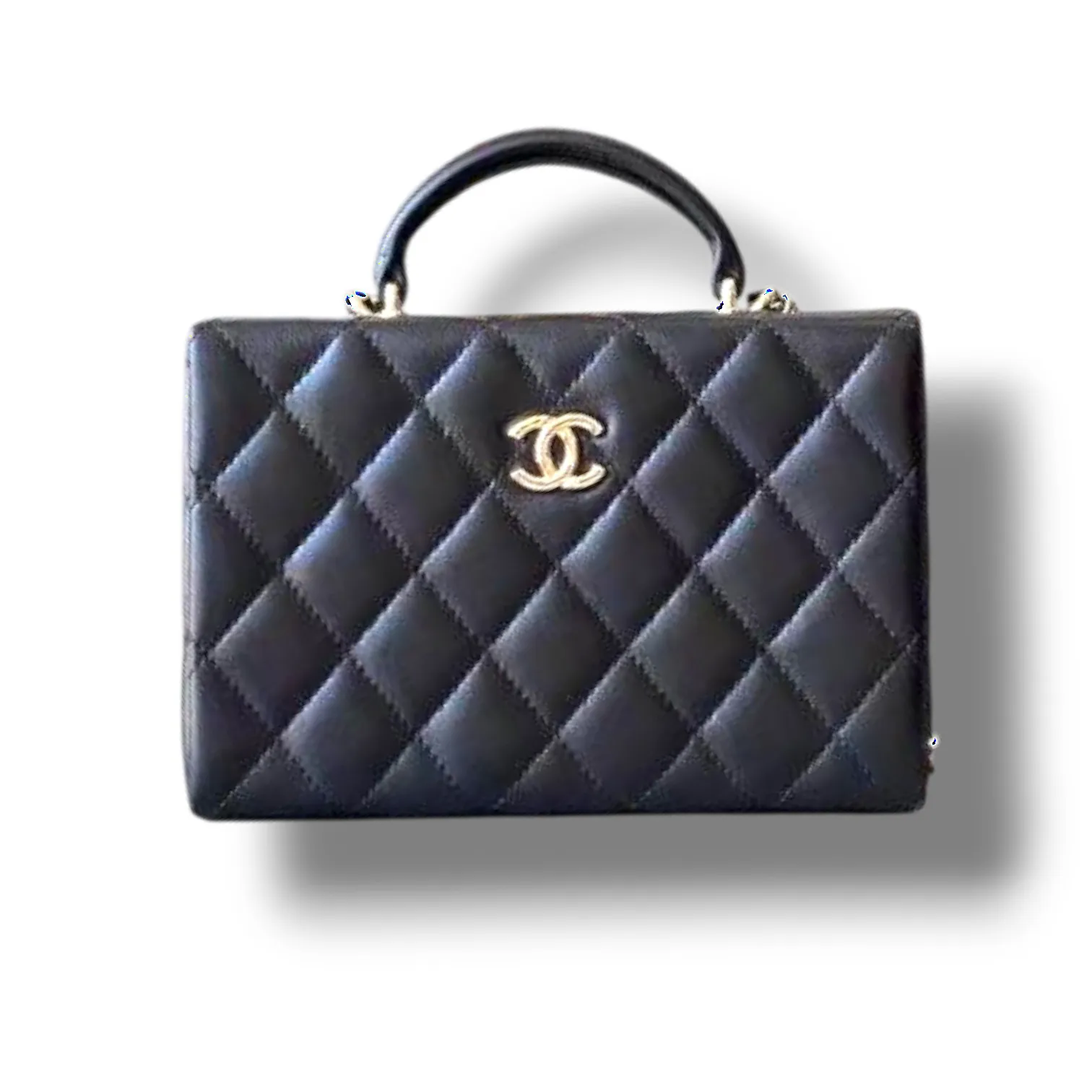 Сумка CHANEL Medium Vanity Case (28 см)