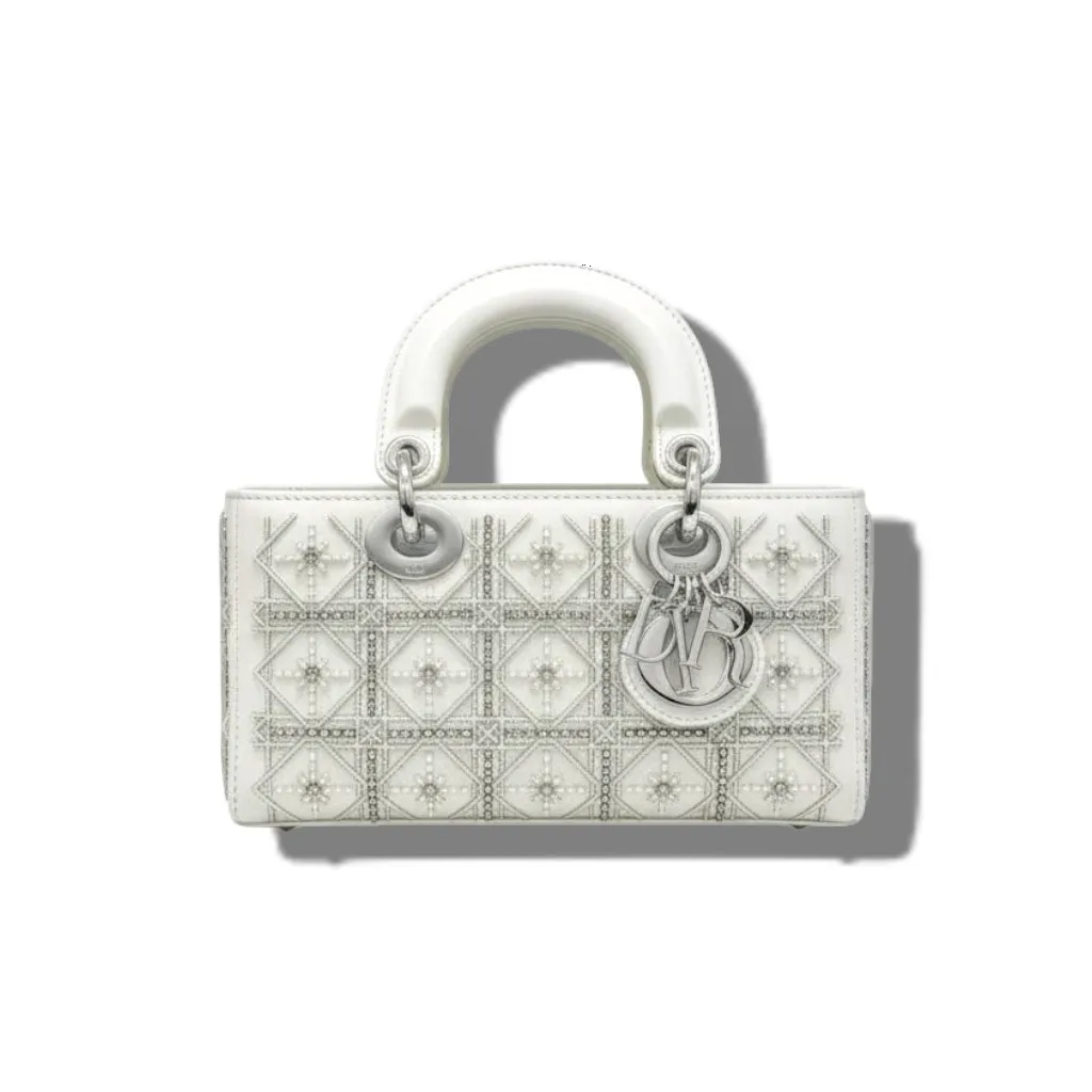 Сумка DIOR Lady (22 см)