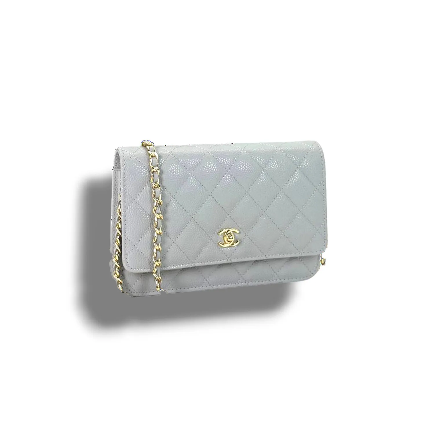 Сумочка CHANEL WOC (19 см)