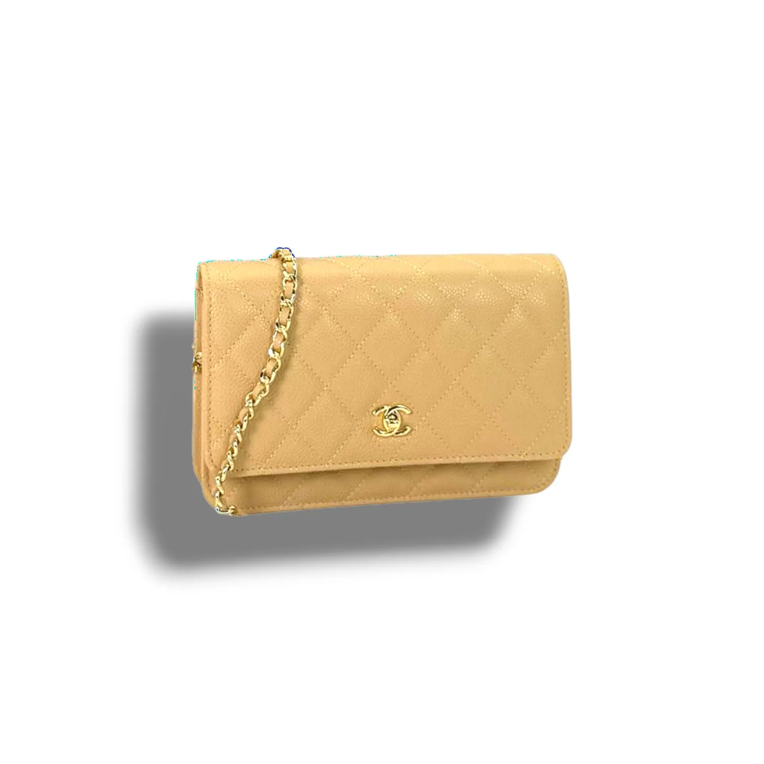 Сумочка CHANEL WOC (19 см)