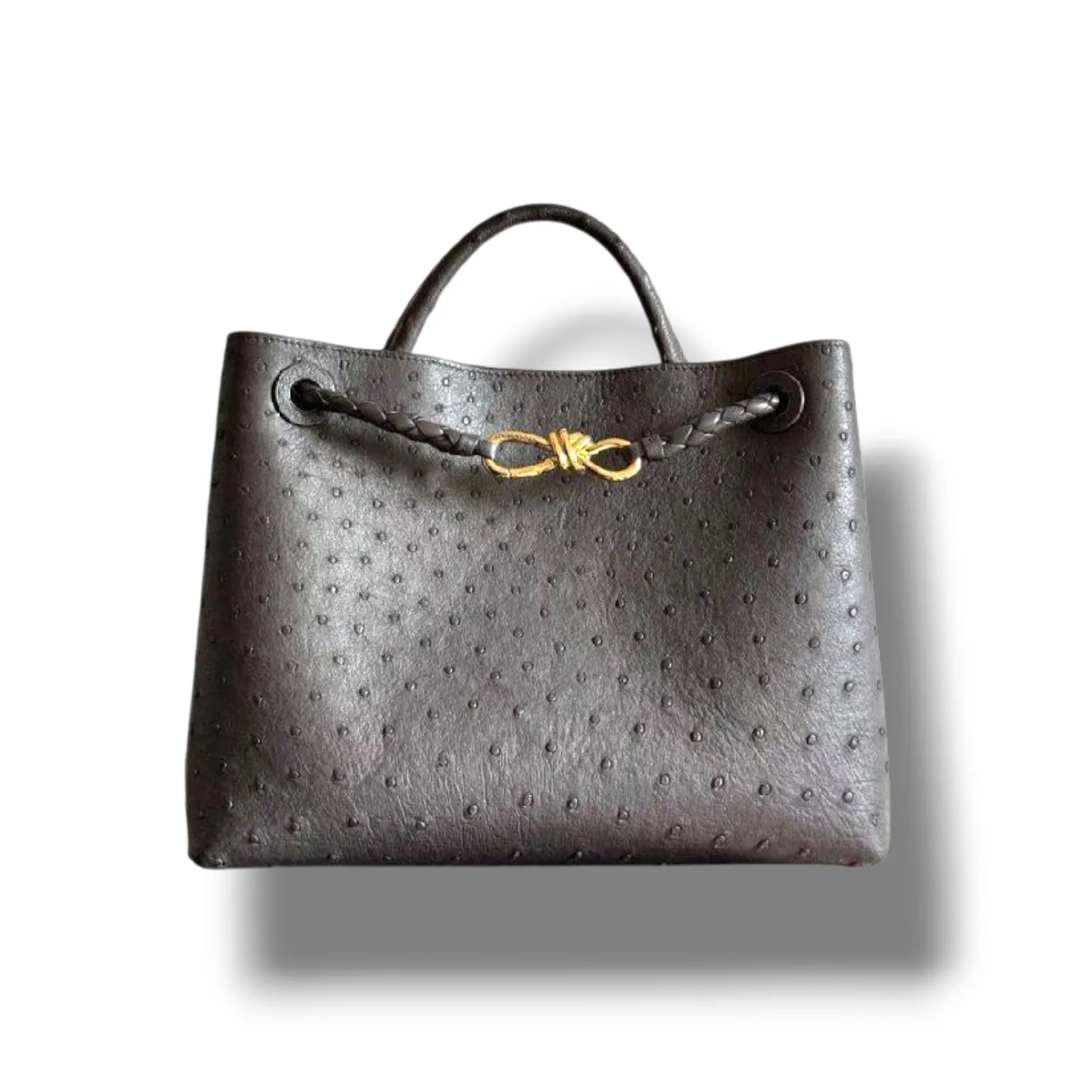 Сумка BOTTEGA VENETA Andiamo Large (25 см)