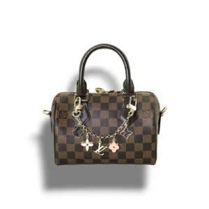 Сумочка LOUIS VUITTON Speedy (20 см)