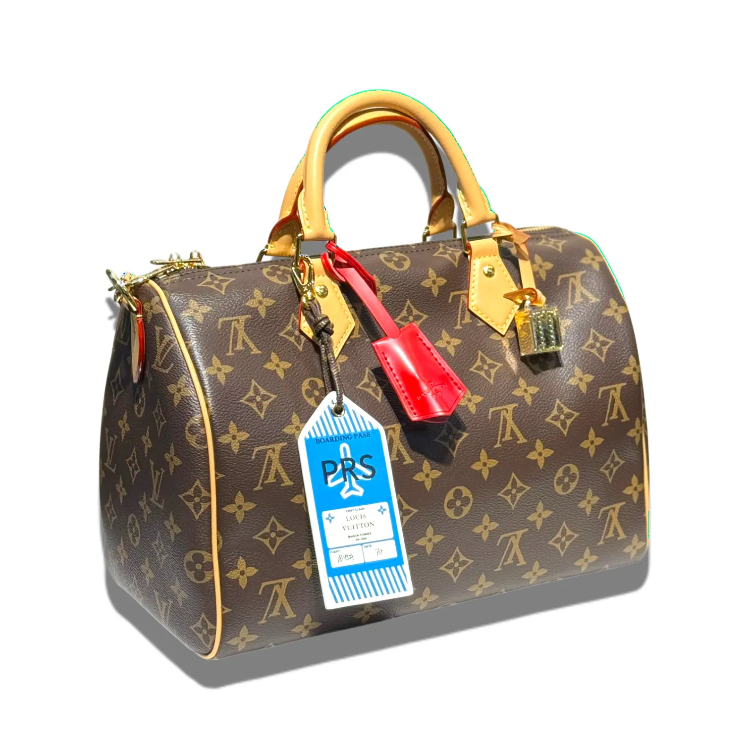 Сумка LOUIS VUITTON Speedy Soft (30 см)