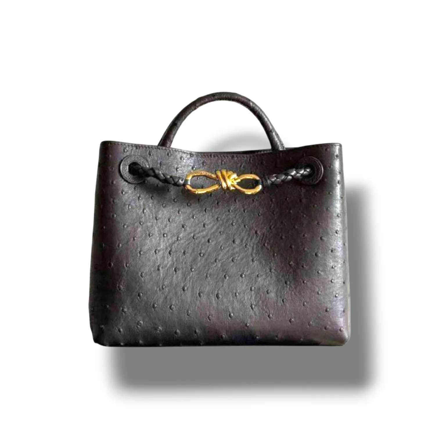 Сумка BOTTEGA VENETA Andiamo Mini (22 см)