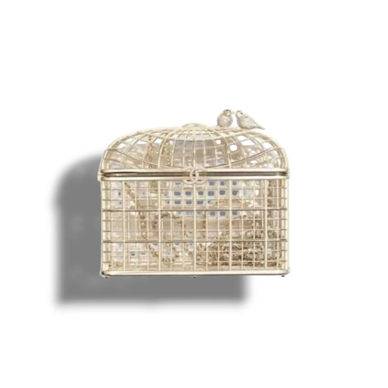 Клатч CHANEL Birdcage (15 см)