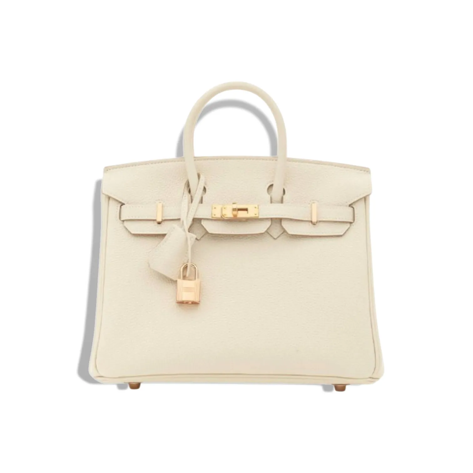 Сумка HERMES Birkin (25 см)