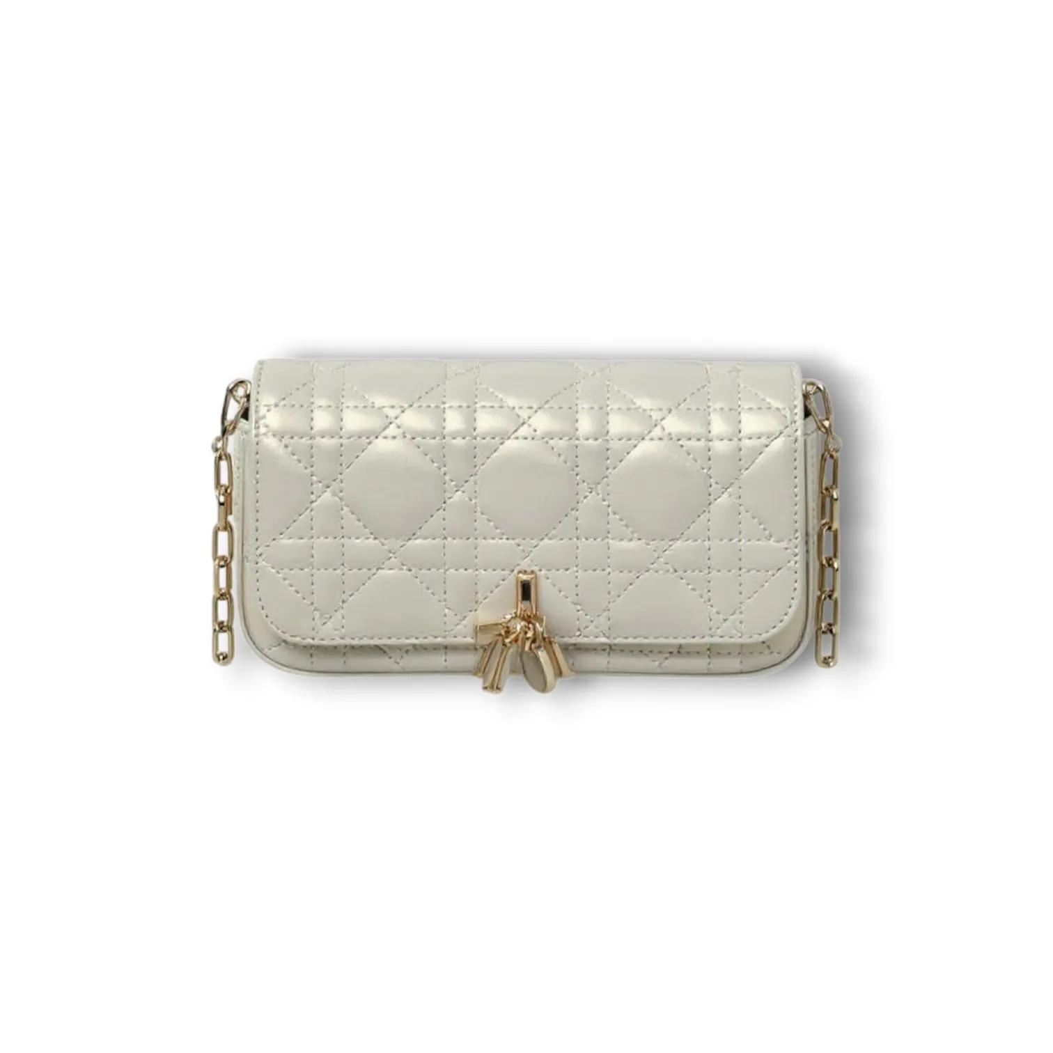 Сумочка DIOR Phone Pouch (19 см)