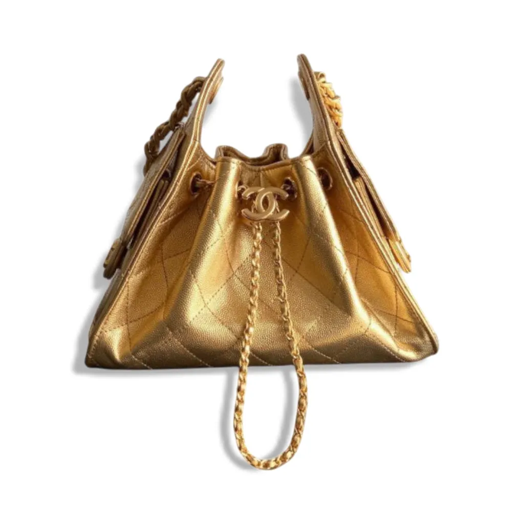 Сумка CHANEL Hobo (22 см)