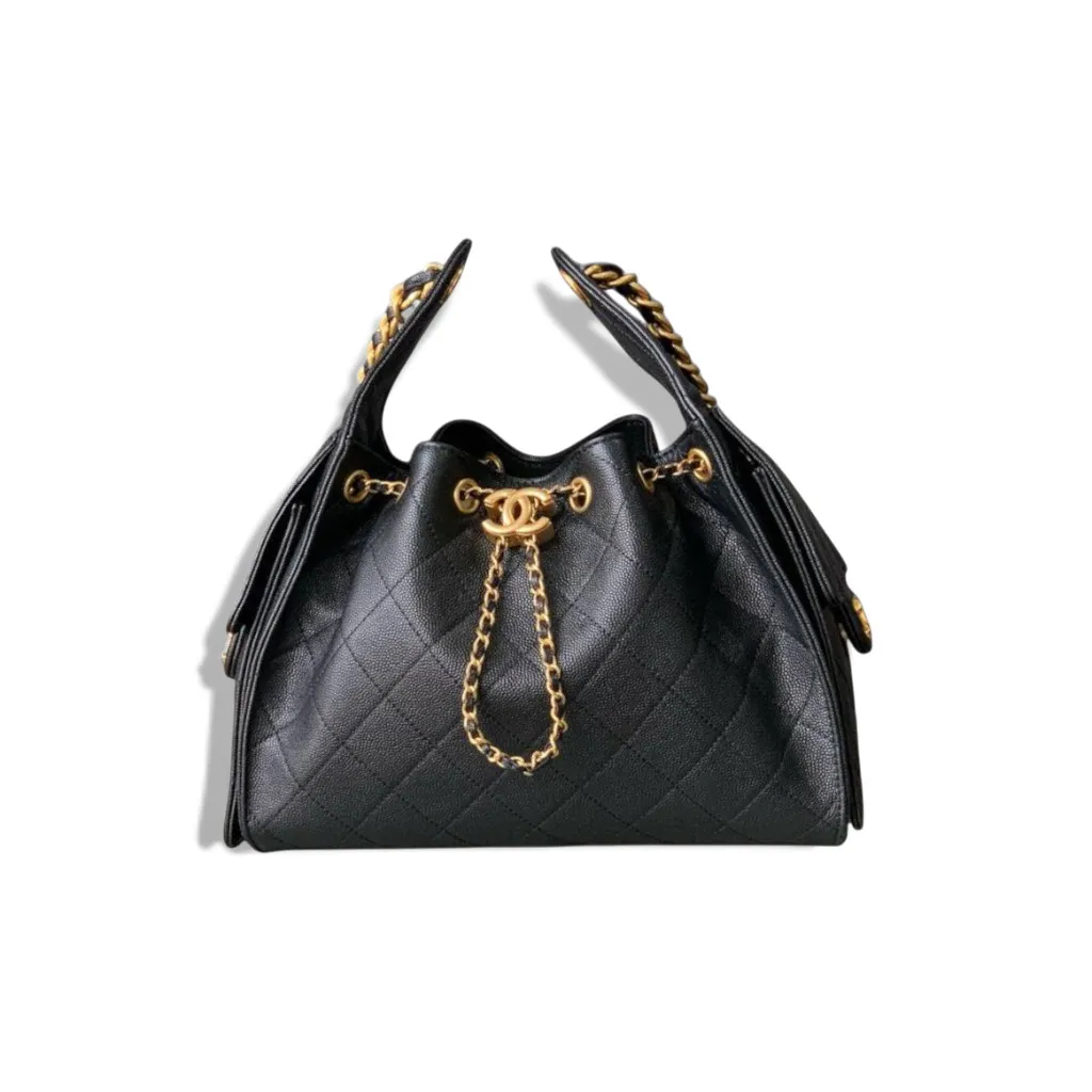 Сумка CHANEL Hobo (22 см)
