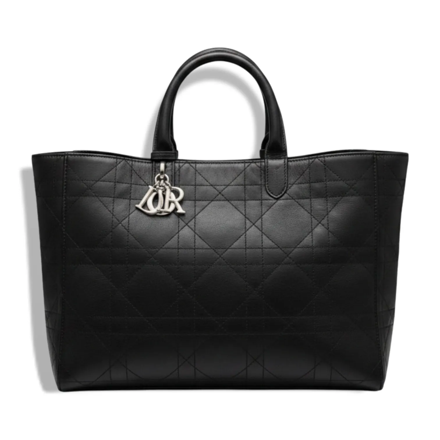 Сумка DIOR Toujours (37 см)
