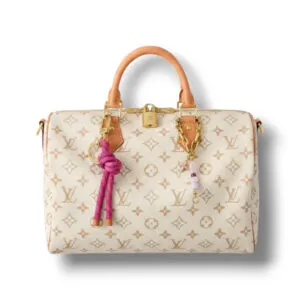 Сумка LOUIS VUITTON Speedy Soft Lucky (30 см)