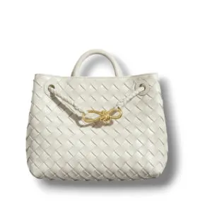 Сумка BOTTEGA VENETA Andiamo (25 см)