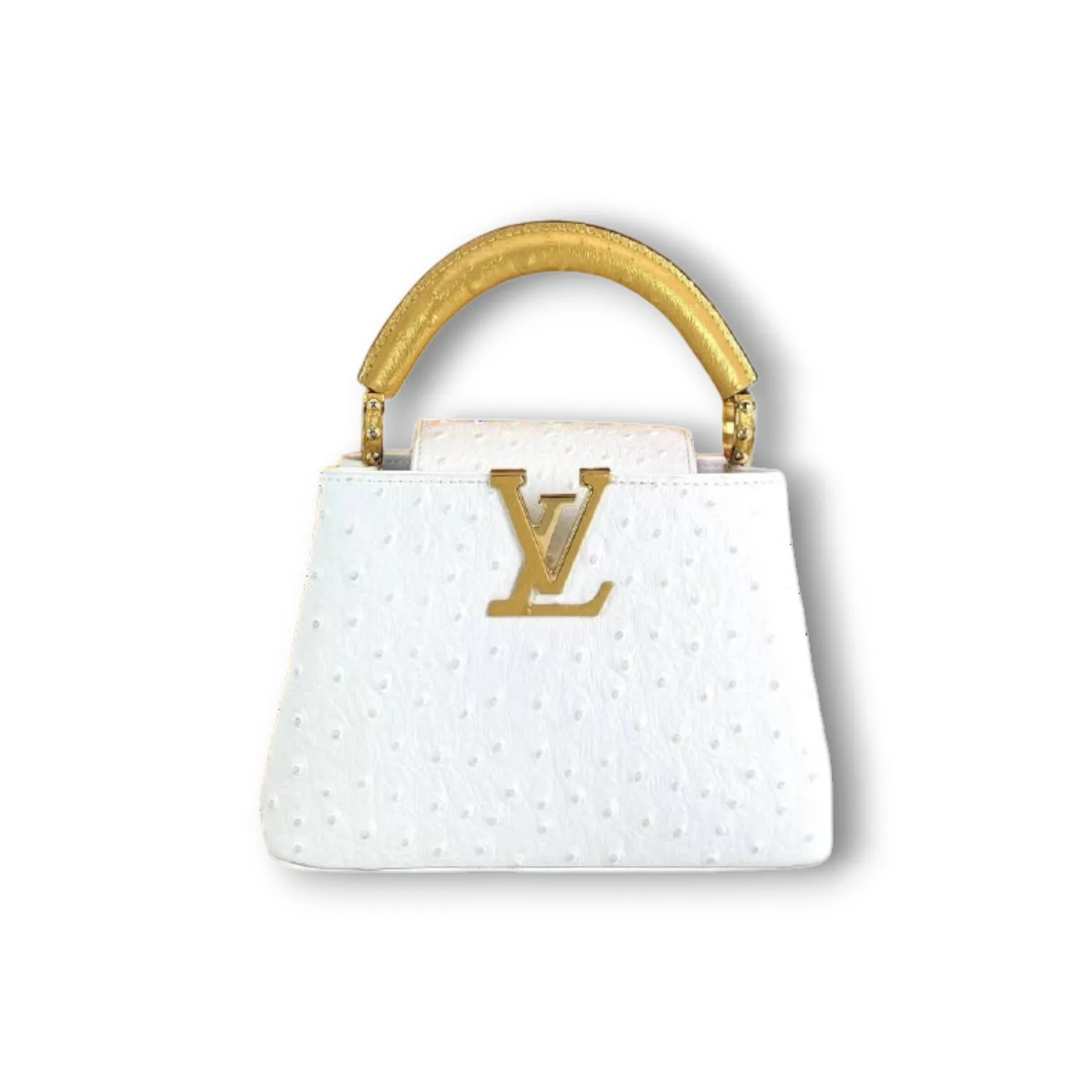 Сумка LOUIS VUITTON Capucines Mini (21 см)