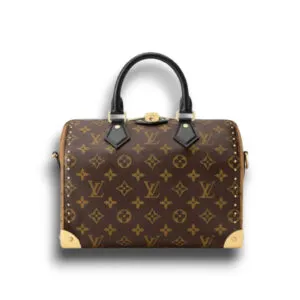 Сумка LOUIS VUITTON Speedy Trunk (25 см)