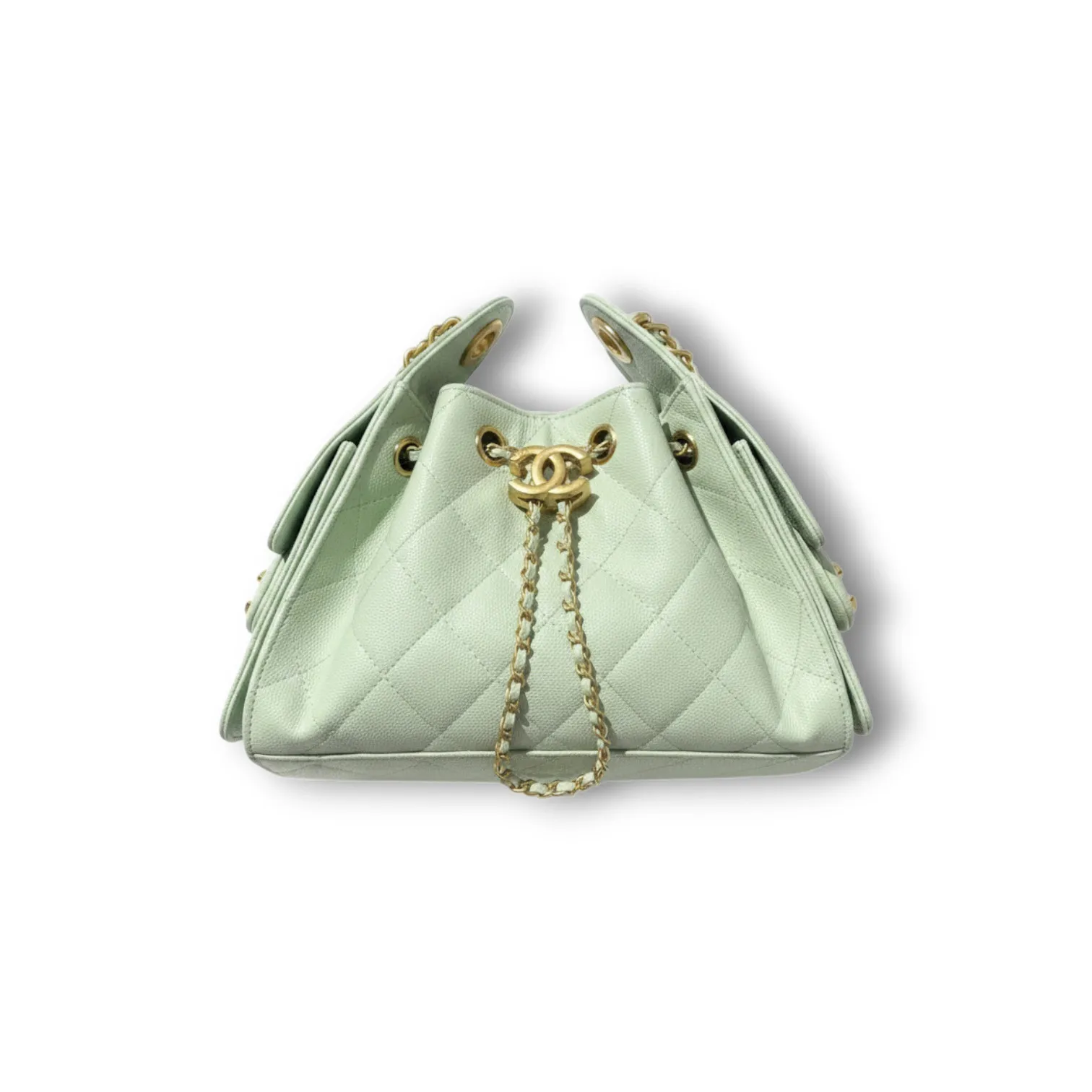 Сумка CHANEL Hobo (22 см)