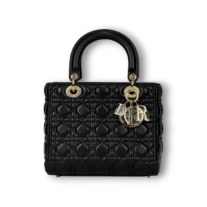 Сумка DIOR Lady (24 см)