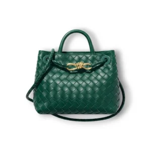 Сумка BOTTEGA VENETA Andiamo (25 см)