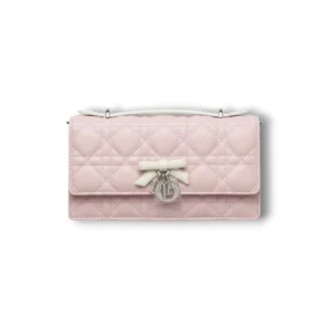 Сумочка DIOR My Dior Mini (21 см)