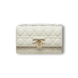 Сумочка DIOR My Dior Mini (21 см)